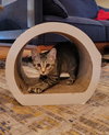 Thelma