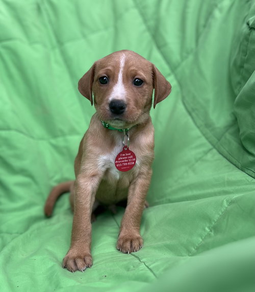 Milo