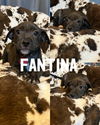 Fantina