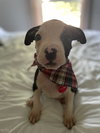 EmmyLou