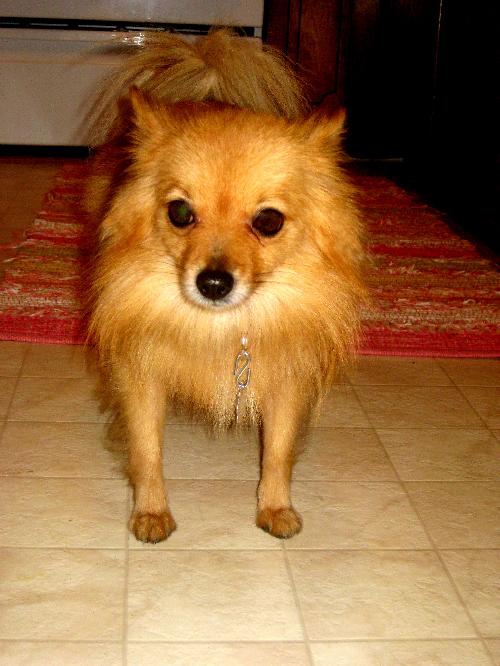 Peanut