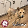 Sabrina
