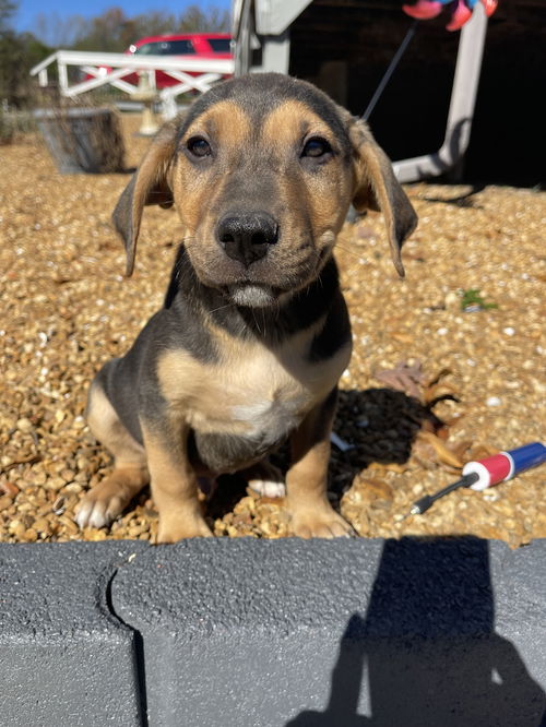 Odin