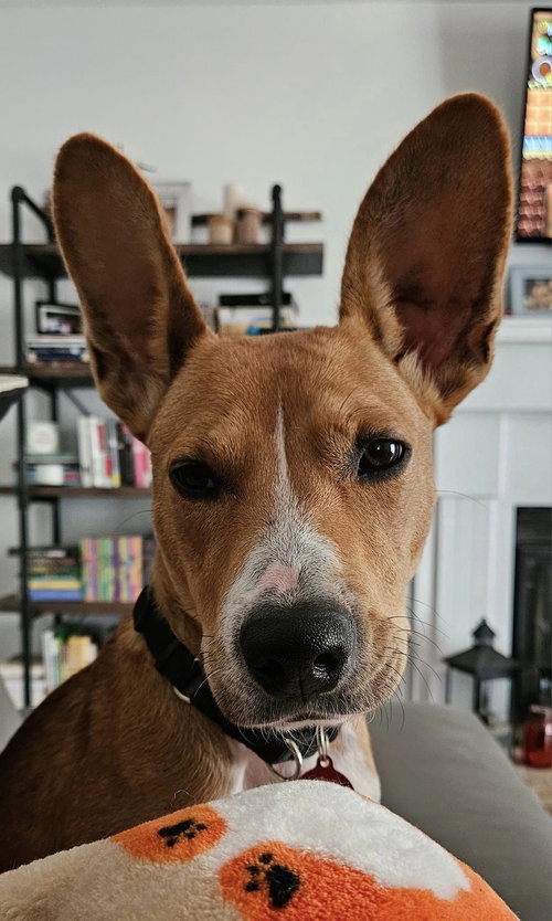 Martha