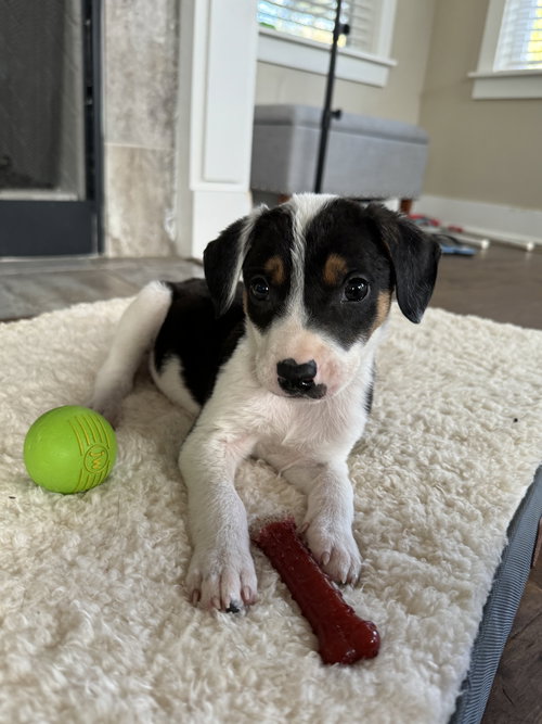 Sawyer Brown Arnett