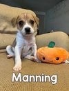 Manning