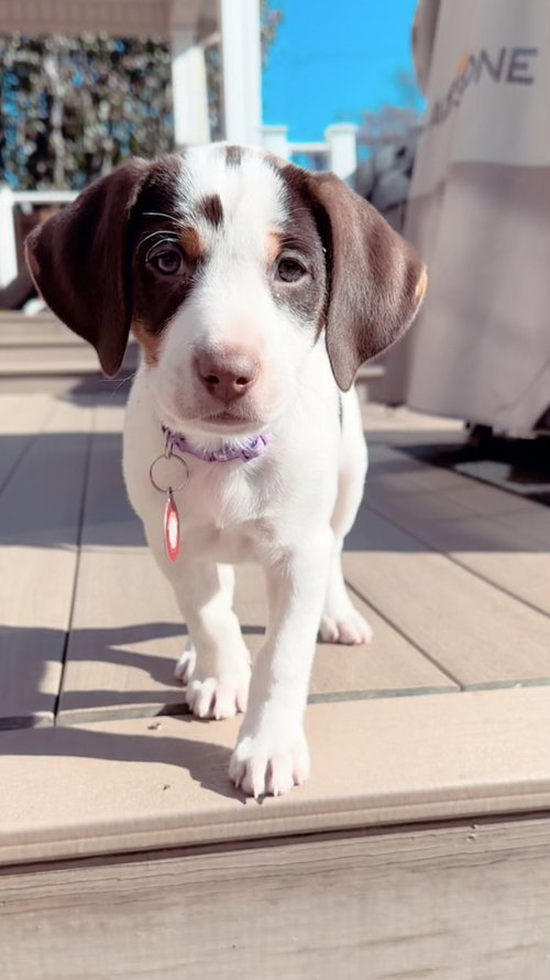 Molly