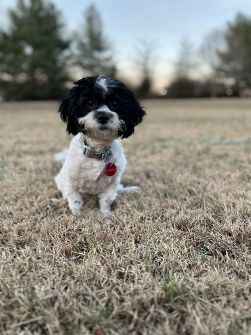 Minnie