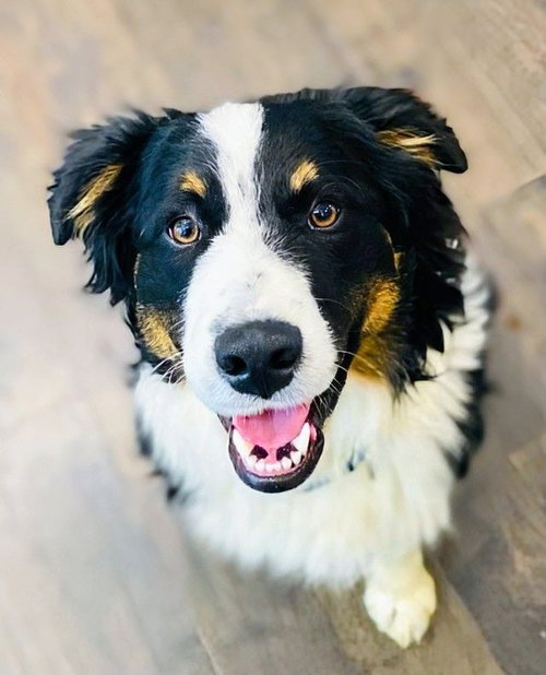 Max