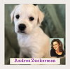 Andrea Zuckerman