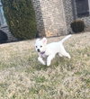 Finnegan