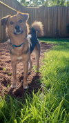 Charlie