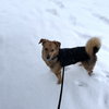 Charlie