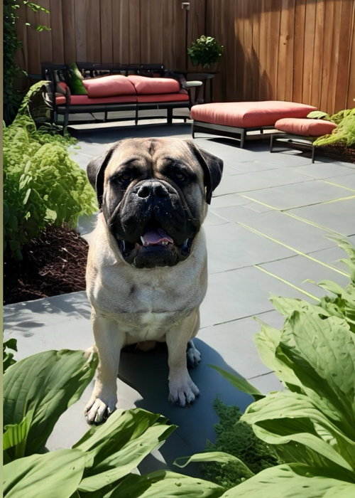 Bruce