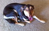 Maggie