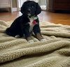 Remington