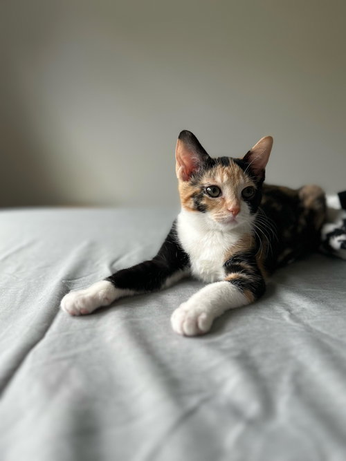 Winnie