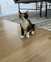 Winnie