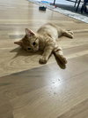 Fred