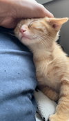 Fred