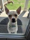 Walter
