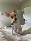 Walter