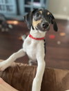 Gina
