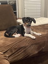 Gina