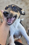 Gina