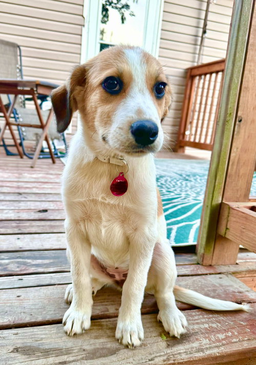 Georgia