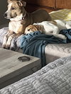 Maggie