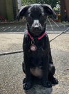 Murphy