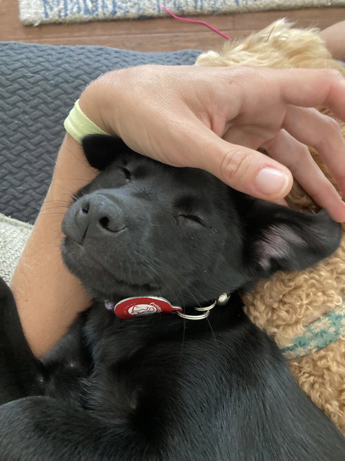 Murphy
