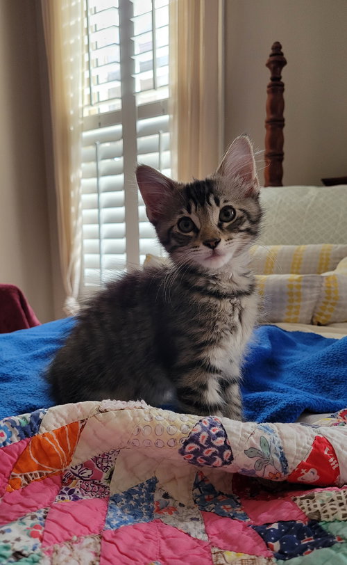 Sam