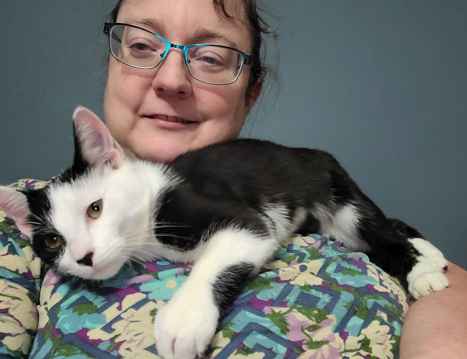 adoptable Cat in Nashville, TN named Dolores