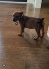 Sadie