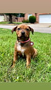 Sadie