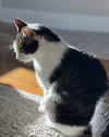 Chloe