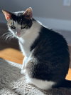 Chloe