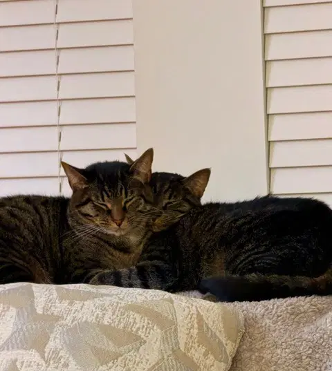 Snuggles image 2