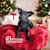 James