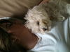 Sadie