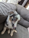Lucie