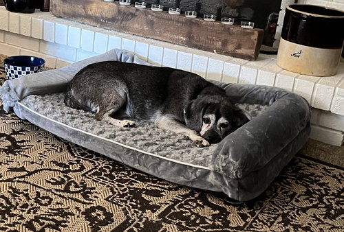 Dakota