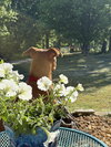 Micah - Photo 3