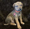Tucker