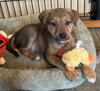Tucker