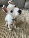 Buster