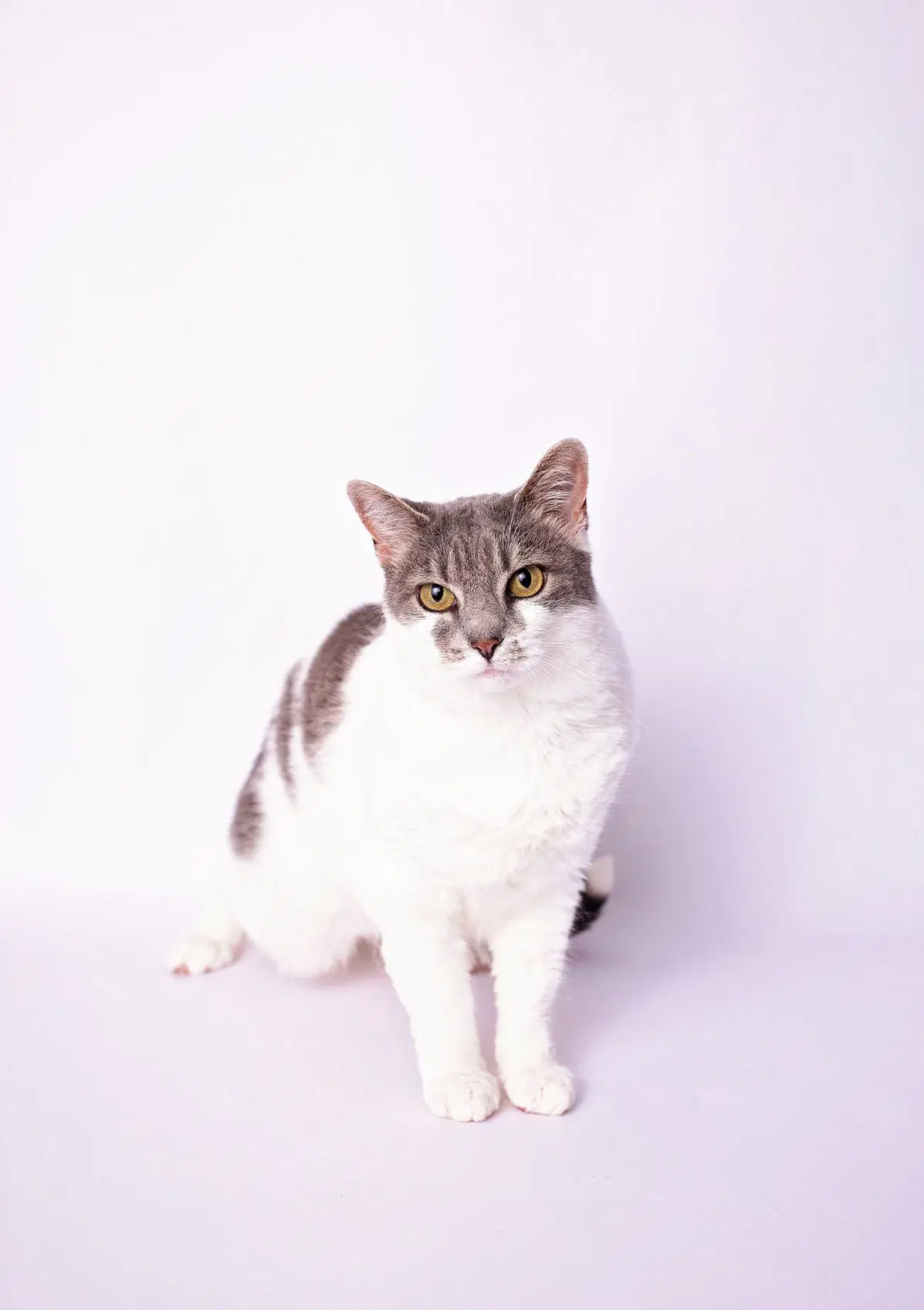 Charlie image 2