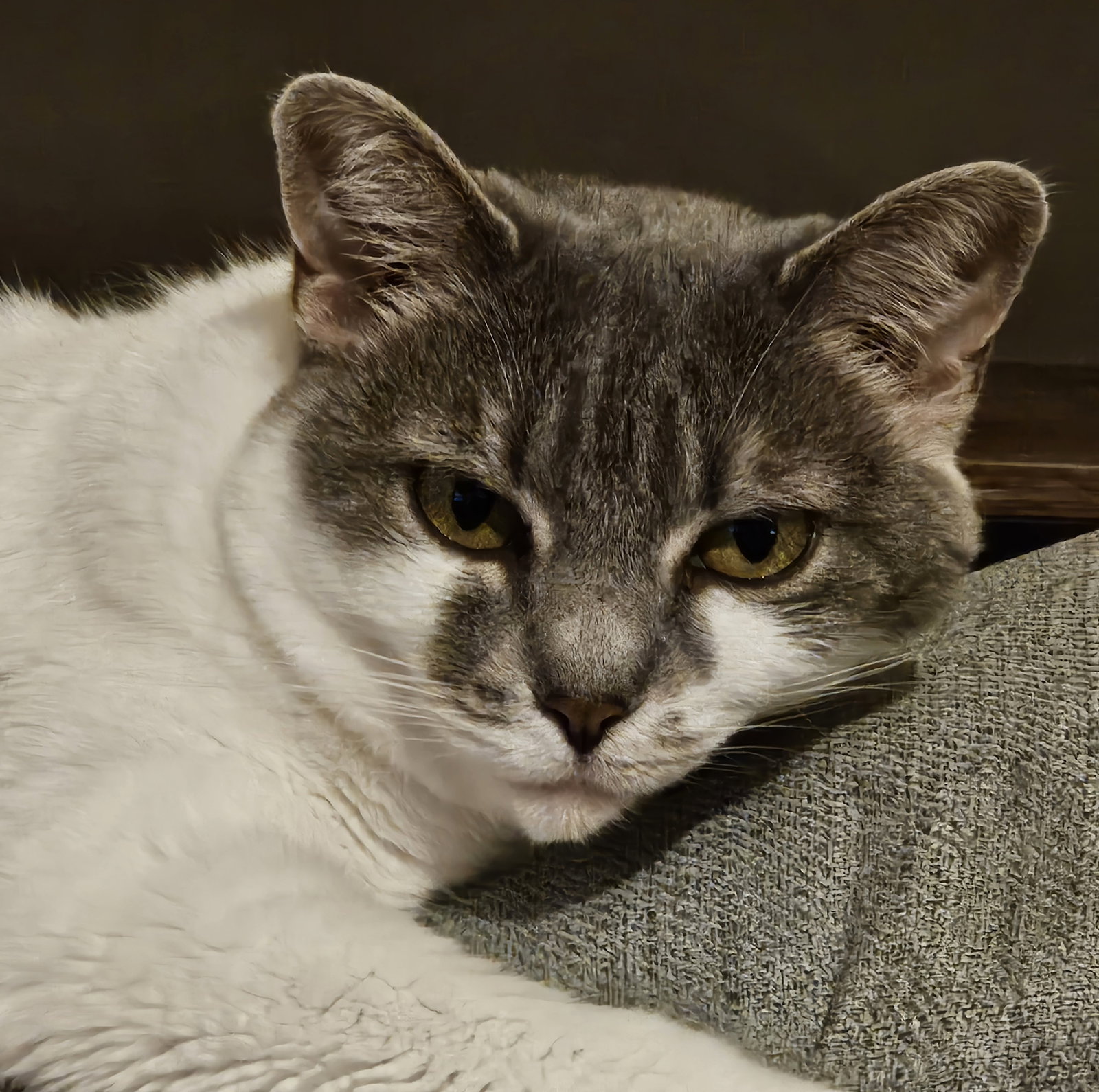 Charlie, photo 12